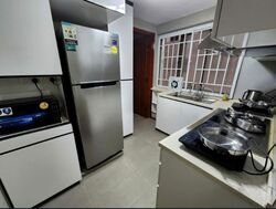 Parc Vista (D22), Condominium #555781631